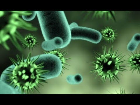 ما الذي يصف معظم أنواع الفيروسات ؟ بيت العلم