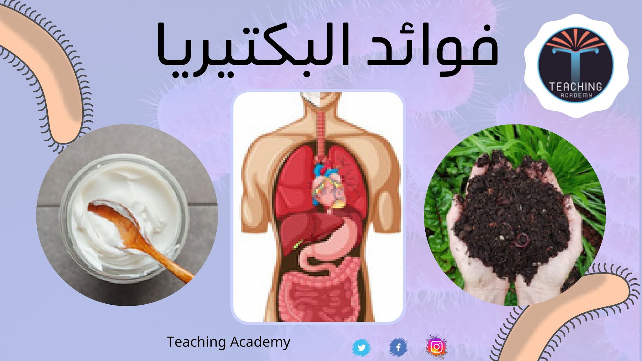 من فوائد البكتيريا انتاج فيتامين ب12 و الرايبوفلافين