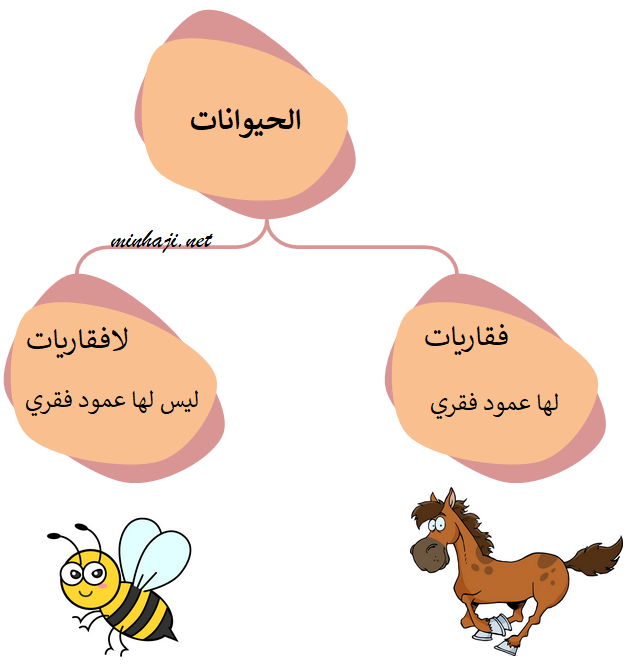 قسم العلماء الحيوانات الى مجموعتين فقاريات ولافقاريات صواب خطأ