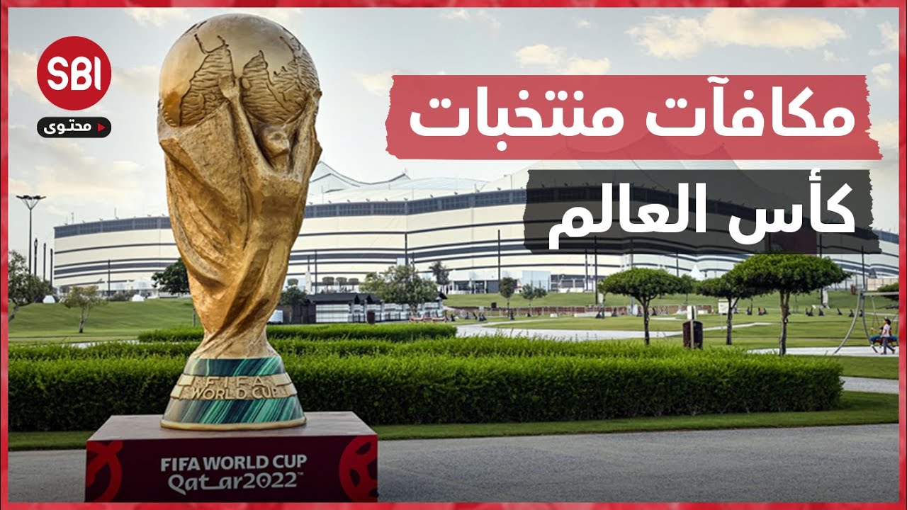 تفاصيل الجائزة التي تحصل عليها المنتخبات المشاركة في كأس العالم 2022