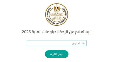 نتيجة الدبلومات الفنية 2025 برقم الجلوس اليوم السابع