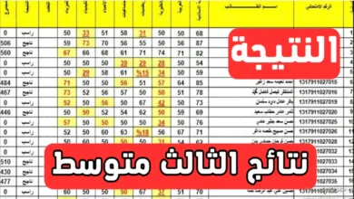 نسبة تصحيح نتائج الثالث متوسط 2025