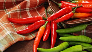 هل الفلفل الحار يعزز حرق السعرات ويساعد على التخسيس؟.. رأي الخبراء