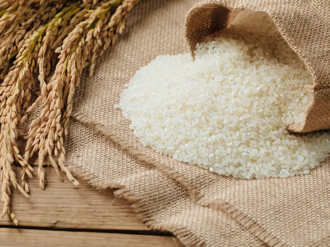 سعر الأرز اليوم الثلاثاء 14 أكتوبر 2025 في السوق المحلي الآن