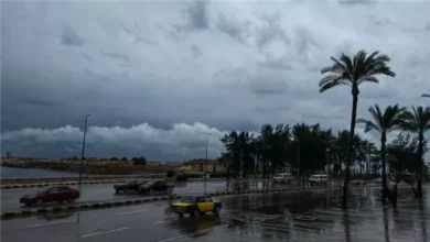 موعد بدء الشتاء رسميًا يوم 21 ديسمبر وتستمر مدته 88 يومًا و23 ساعة