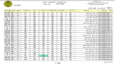 نتائج الصف السادس الابتدائي 2025 الدور الثالث على موقع نتائجنا