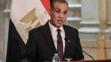 وزير الخارجية المصري يشدد على أهمية حل الدولتين في مباحثاته مع نظيره الأمريكي بشأن القضية الفلسطينية