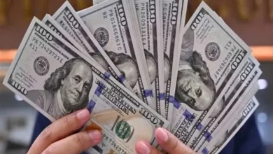 أسعار الدولار اليوم في البنوك والسوق السوداء بمصر 2 نوفمبر 2025.. هل يهبط مجددًا؟