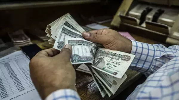 استعلم الآن عن معاشات ديسمبر 2025 باستخدام الرقم القومي مباشرة