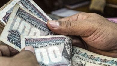 استعلم عن قيمة معاشك بعد الزيادة .. مواعيد صرف معاشات ديسمبر 2025 وطريقة الاستعلام بالتفصيل خطوة بخطوة