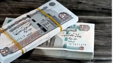 صرف رواتب نوفمبر 2025 للموظفين بالقطاعين العام والخاص – خطوات الاستعلام