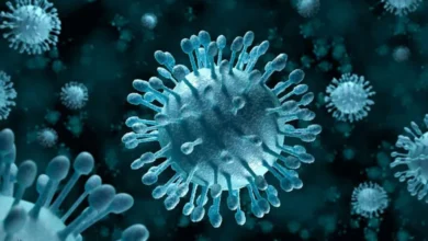 مولد الضد هو بروتين ومواد كيميائية غريبة تهاجم الجسم. صواب خطأ