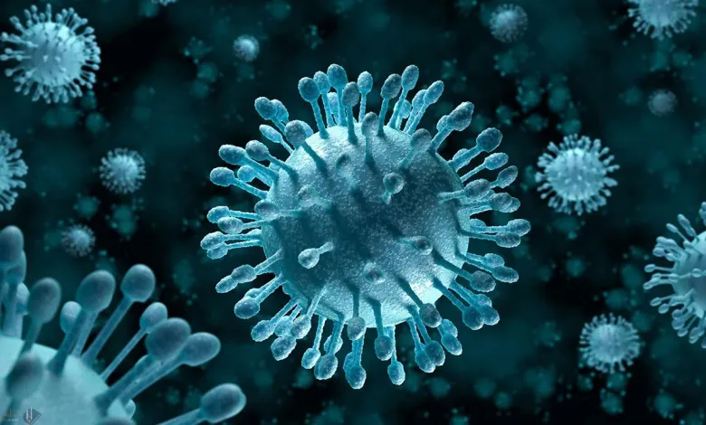 مولد الضد هو بروتين ومواد كيميائية غريبة تهاجم الجسم. صواب خطأ