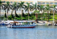 كيفية التسجيل في رحلات قطار الشباب 2025 بالخطوات