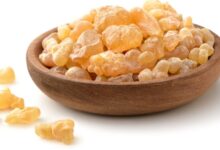 ما هو الصمغ العربي ؟ كنز طبيعي مذهل بفوائد صحية لا تُصدق