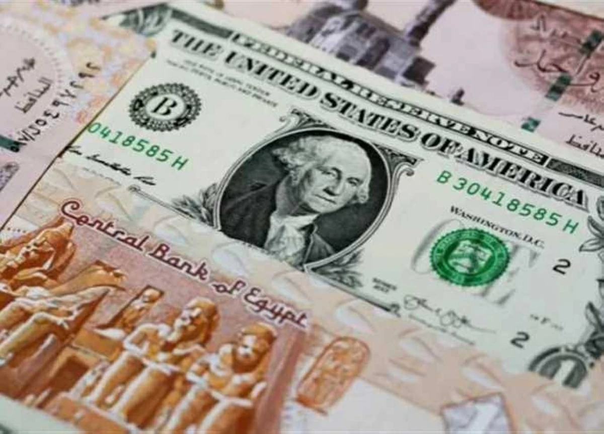 سعر الدولار اليوم مقابل الجنيه المصري