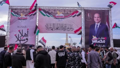 رابط اللجنة المصرية