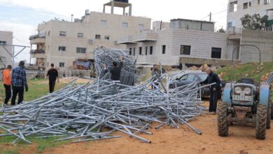 جمعية الإغاثة الزراعية الفلسطينية