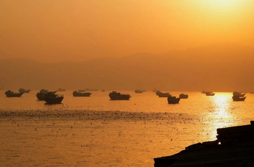 المنظمة البحرية الدولية