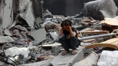 الحرب على غزة لم تقتل الأطفال فقط بل قتلت فرصة أن يُولدوا