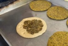 الزعتر في غزة