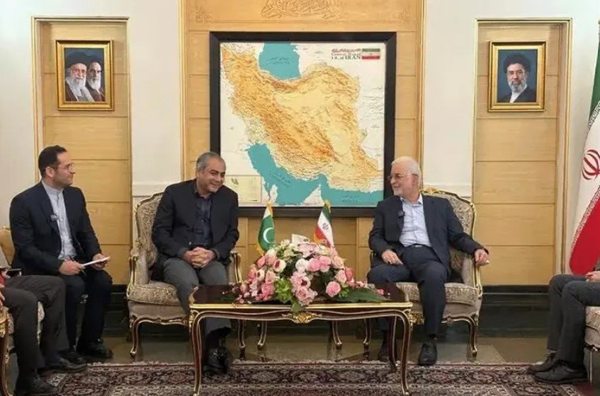 وزير الداخلية الباكستاني