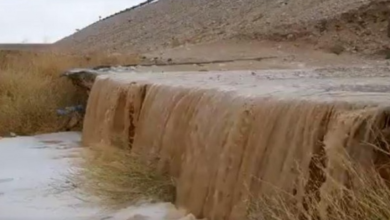 سيول وفيضانات جنوب إسرائيل