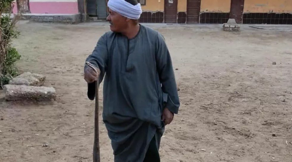 ظهور ثعبان داخل مدرسة بالفيوم